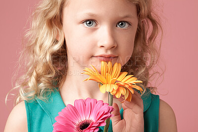 Buy stock photo Portrait, child or girl with flowers by pink background for birthday picture, celebration or memory with plants. Studio, kid and barberton daisy with different color, floral and decoration by mockup