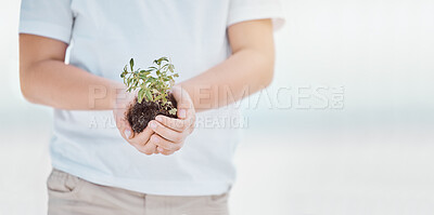 Buy stock photo Shot of an unrecognizable child holding a plant in dirt at the beach