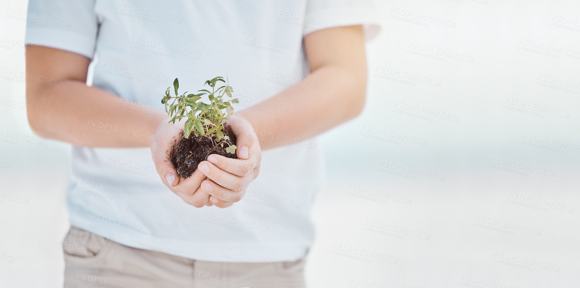 Buy stock photo Shot of an unrecognizable child holding a plant in dirt at the beach