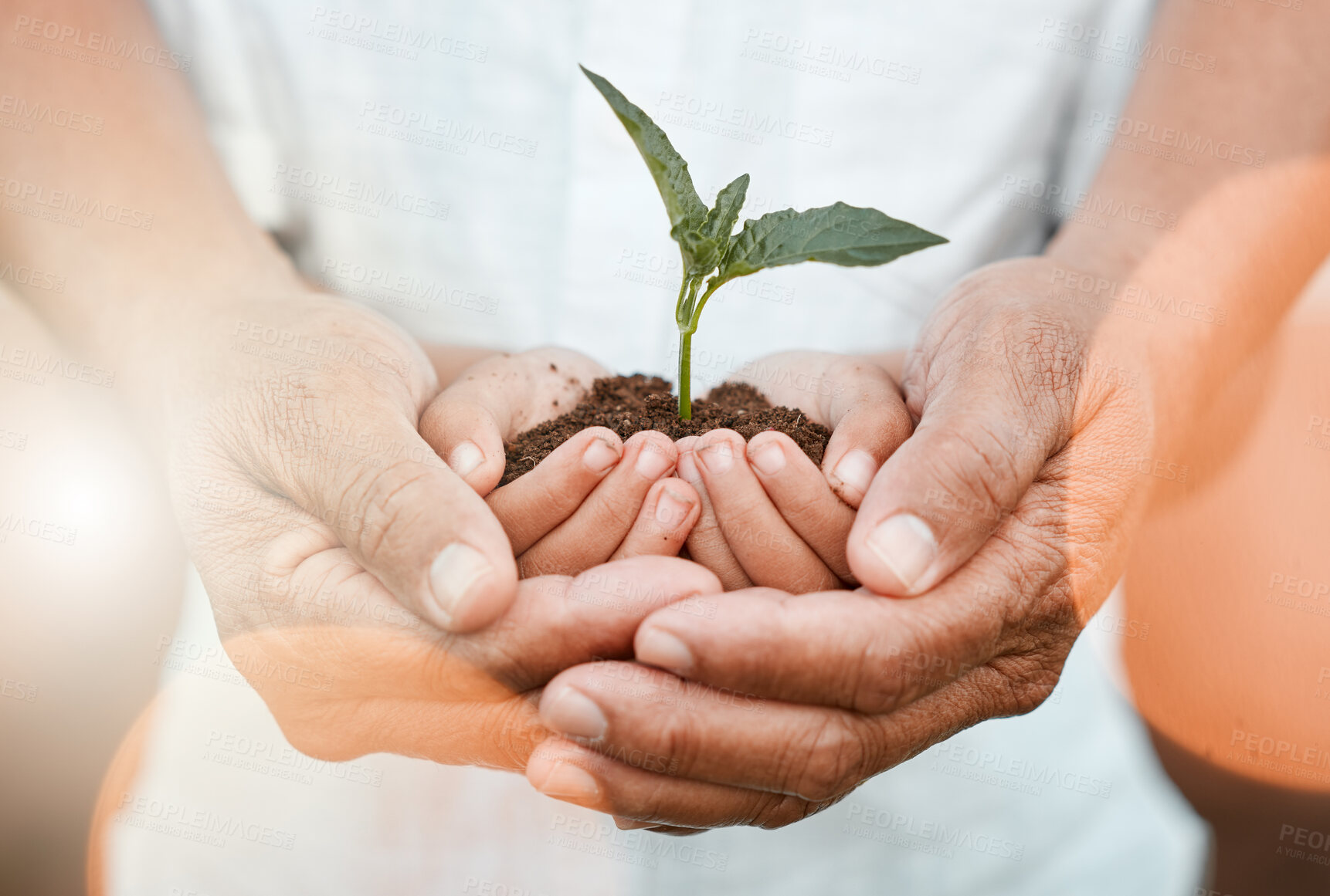 Buy stock photo Person, child and hands with plant for growth, development and support in sustainable gardening. Nature, agriculture and people with care, ecology and support for children in future with green earth