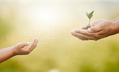 Buy stock photo Shot of an unrecognizable little boy and his grandfather holding plants growing out of soil