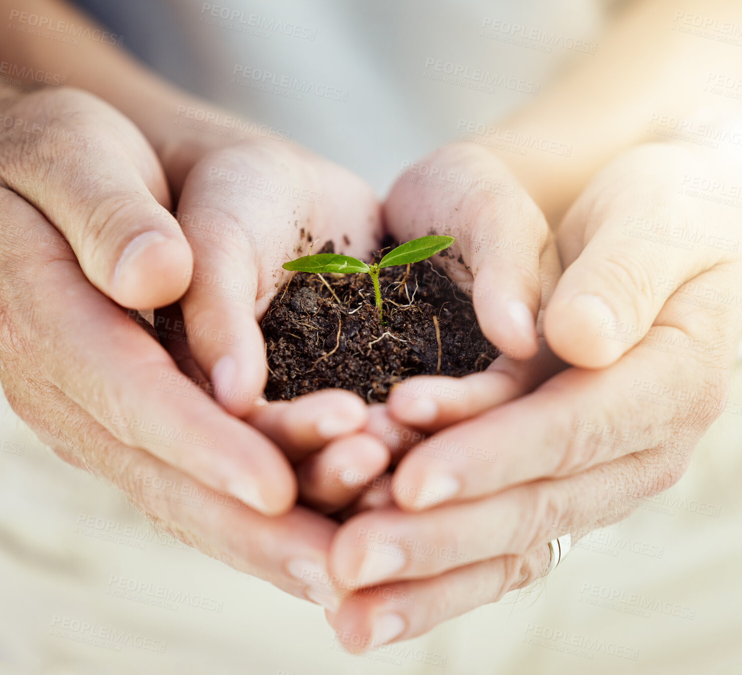 Buy stock photo Family, hands and plant in dirt for growth, social responsibility and teaching environment care. Parent, child and holding fresh sapling in fertilizer for hope, help and support in relationship