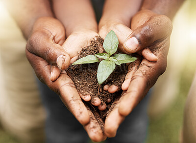 Buy stock photo Shot of an unrecognizable child ad parent holding a plant in dirt outside