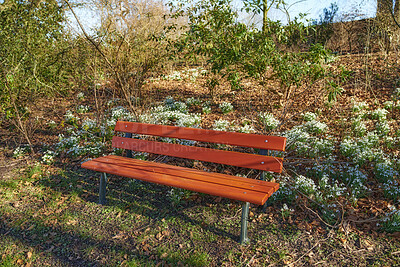 Buy stock photo Snowdrop in springtime