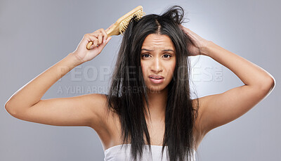 Buy stock photo Hair care, brush and portrait of woman with mess in studio for split ends, haircare crisis and weak tips. Beauty, hairdresser and face of worried female person with knot problem on gray background