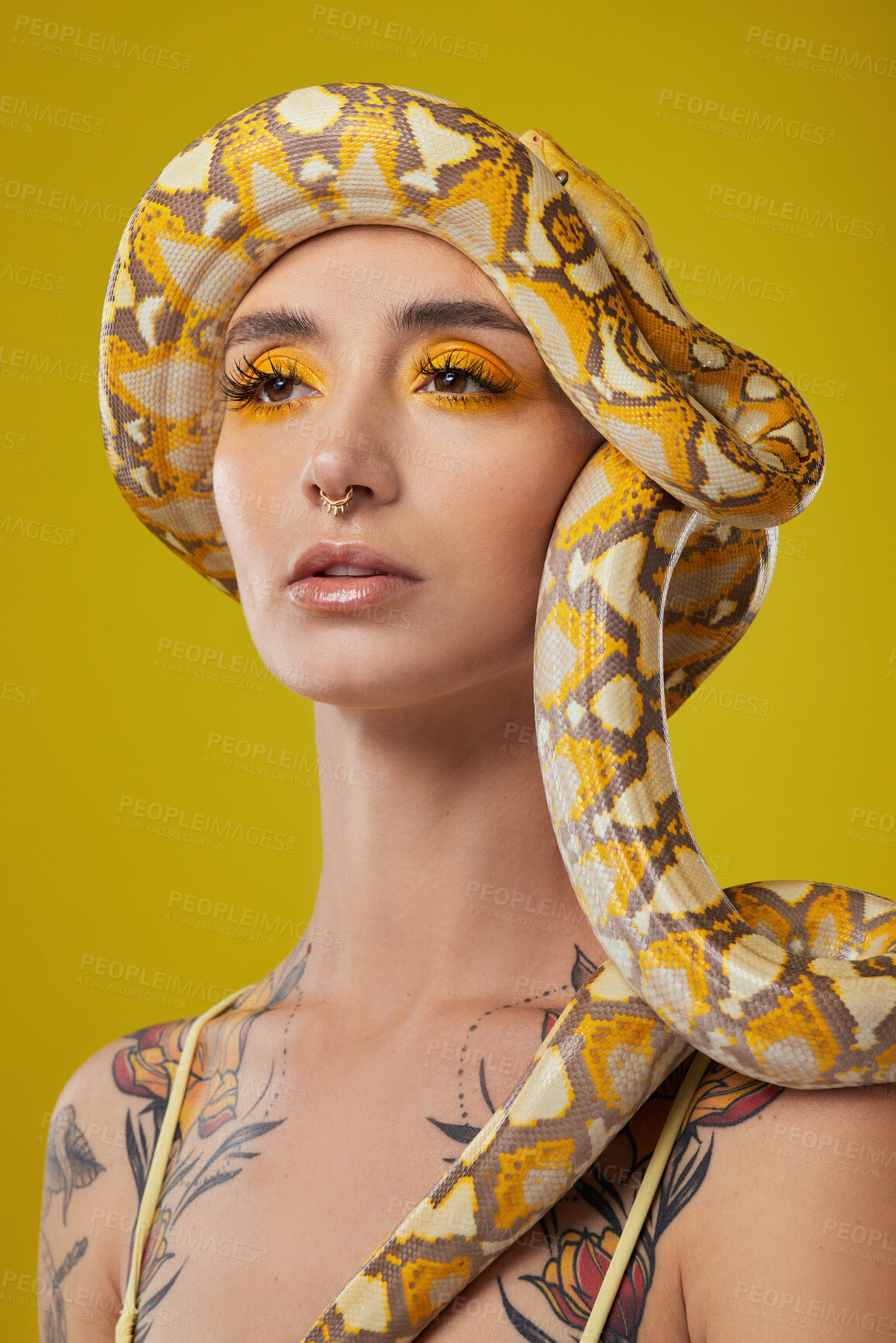 Buy stock photo Shot of a young woman posing with a snake on her head against a yellow background