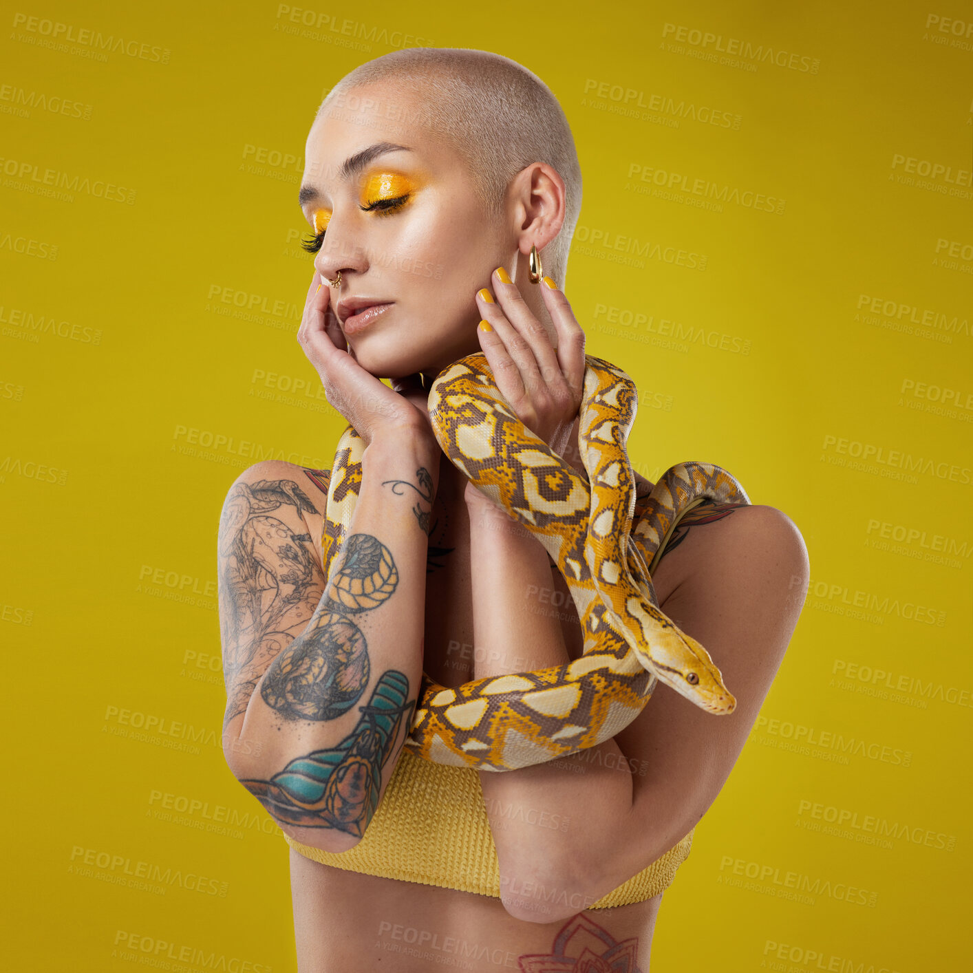 Buy stock photo Woman, snake or beauty with cosmetics in studio for fashion or makeup on a yellow background. Thoughtful, female person or aesthetic with eye shadow, reptile animal or serpent for culture or style