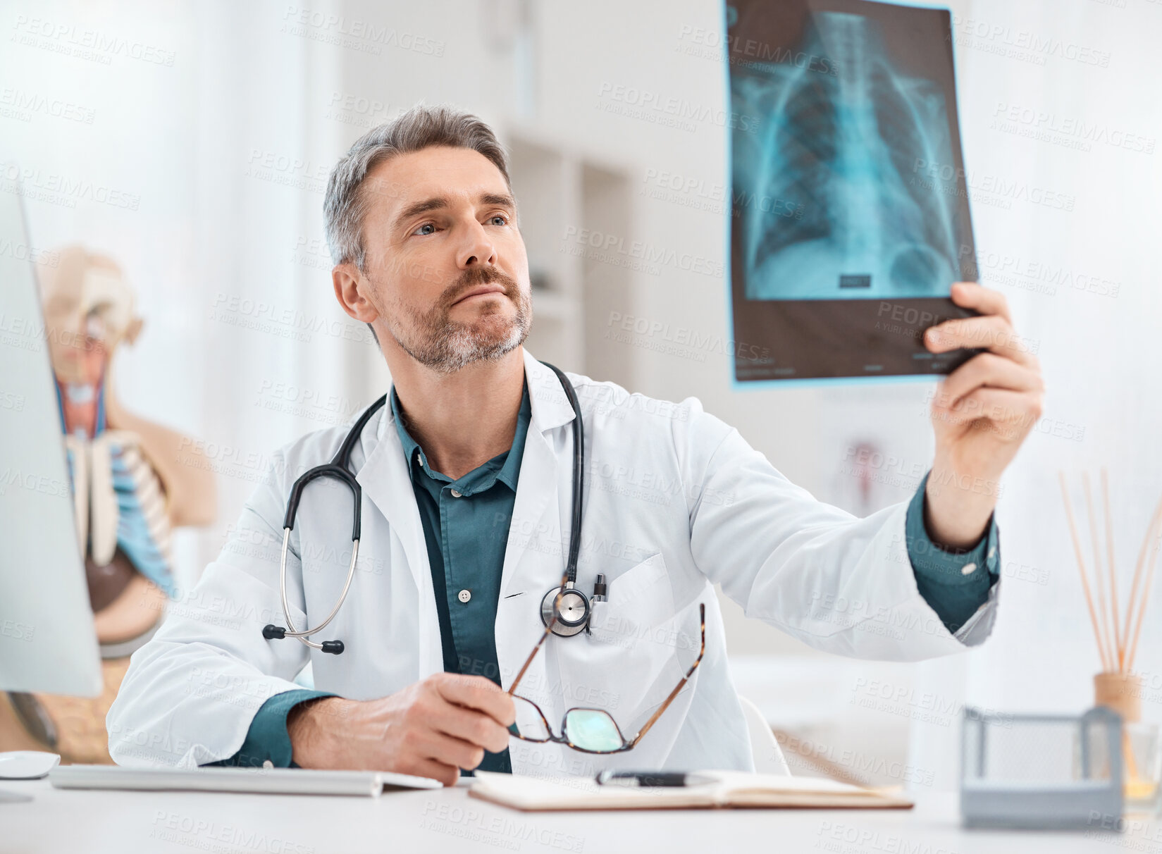 Buy stock photo Shot of a mature doctor analysing x-ray scans in a medical office