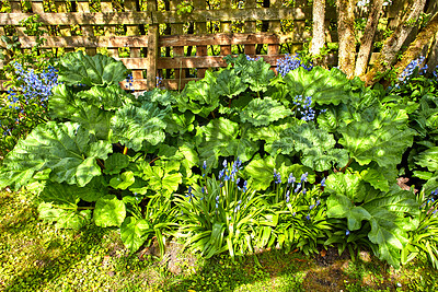 Buy stock photo A series of beautiful garden photos