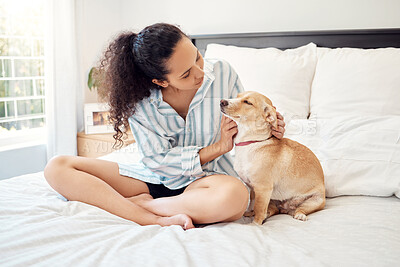 Buy stock photo Shot of a young woman playing with her dog at home