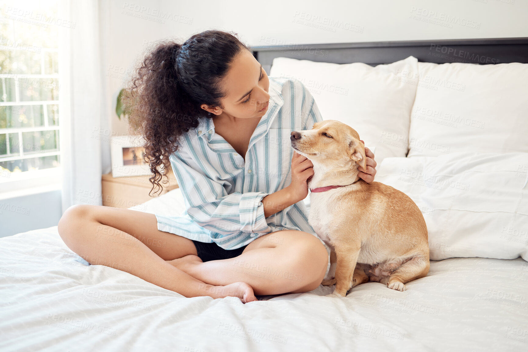 Buy stock photo Shot of a young woman playing with her dog at home