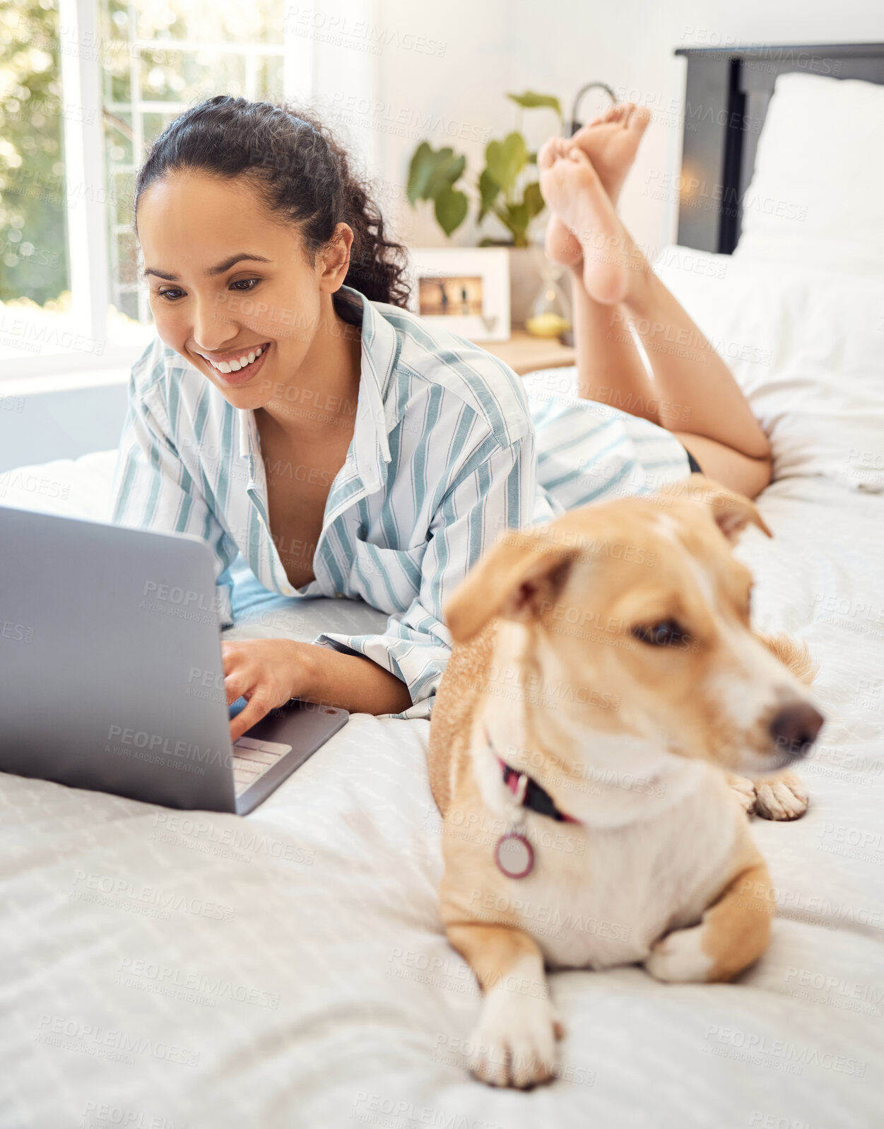 Buy stock photo Shot of a young woman using a laptop while relaxing on her bed at home