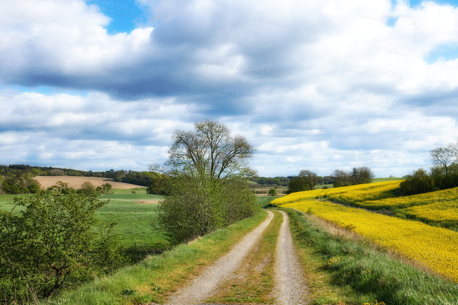 Buy stock photo Spring, clouds or gravel road landscape in nature for natural tourism, agricultural field or scenery. Countryside, sky and scenic route in farm environment for travel, green foliage and mockup space