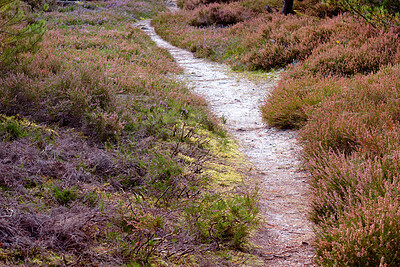 Buy stock photo A road from here to there