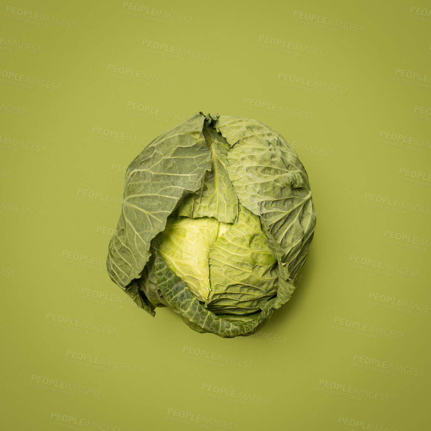 Buy stock photo Crop, cabbage and healthy in studio, vegetable and space for food, nutrition and diet with vitamin. Green background, raw and organic for dinner of salad, meal or wellness for menu of vegan in mockup