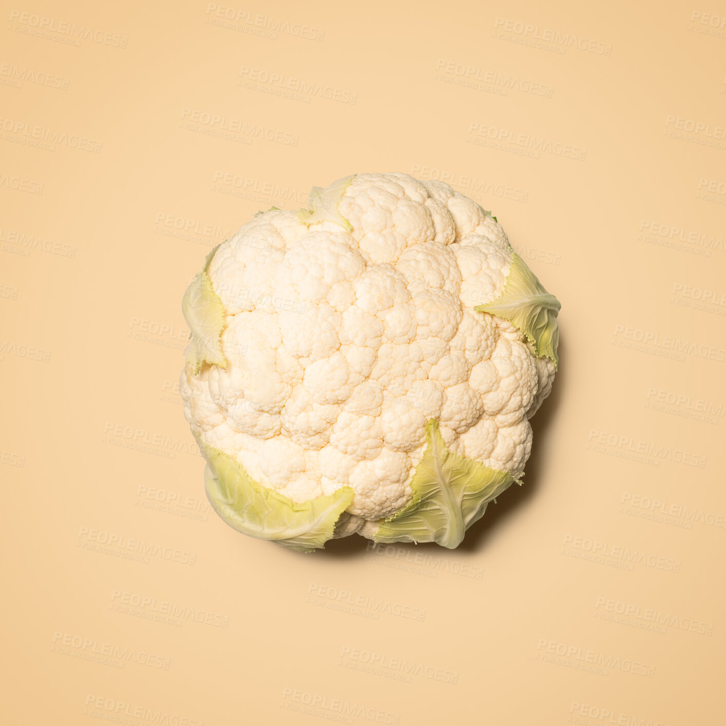 Buy stock photo Cauliflower, organic and fresh produce in studio for nutrition, minerals and vitamin for wellness. Vegetable, culinary and ingredient in isolated background for cooking, digestive health and fiber