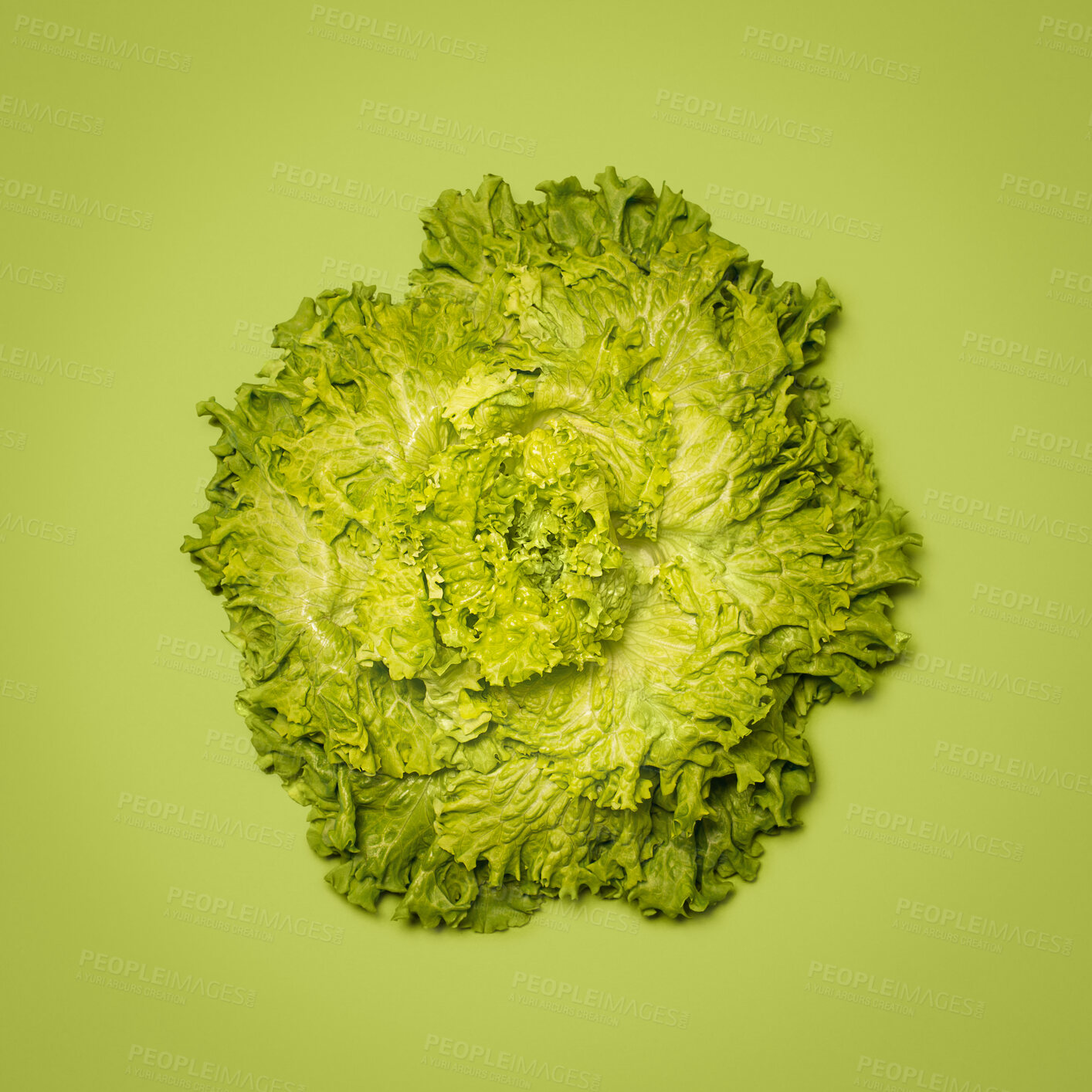 Buy stock photo Crop, lettuce and healthy in studio, vegetable and space for food, nutrition and diet with vitamin. Green background, raw and organic for dinner of salad, meal or wellness for menu of vegan in mockup