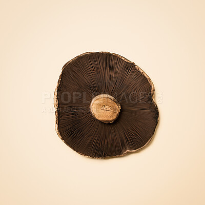 Buy stock photo Mushroom, ingredient and fresh produce in studio for nutrition, digestive health and vitamin b for wellness. Vegetable, culinary and organic in isolated background for cooking, potassium and fiber