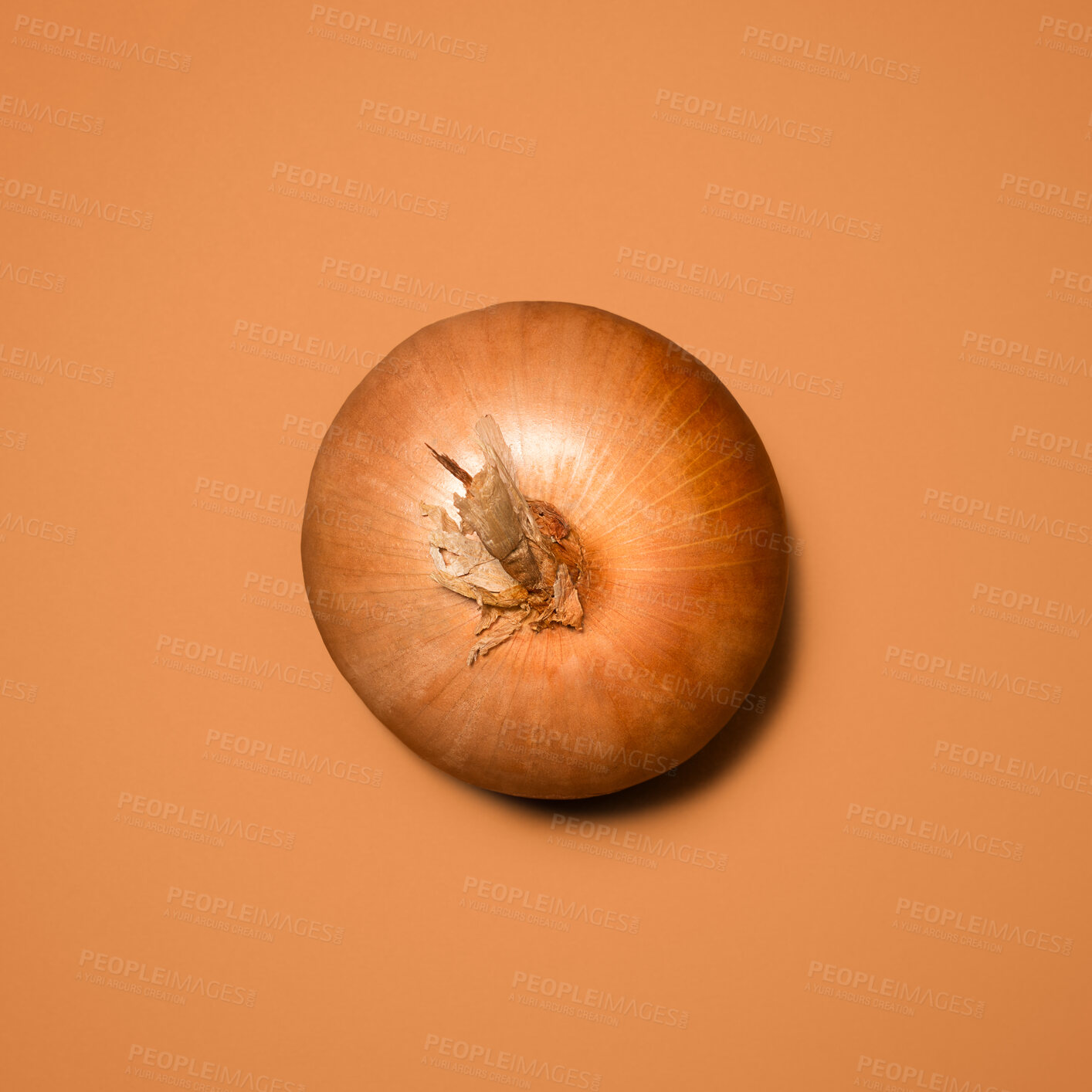 Buy stock photo Shot of an onion against a studio background