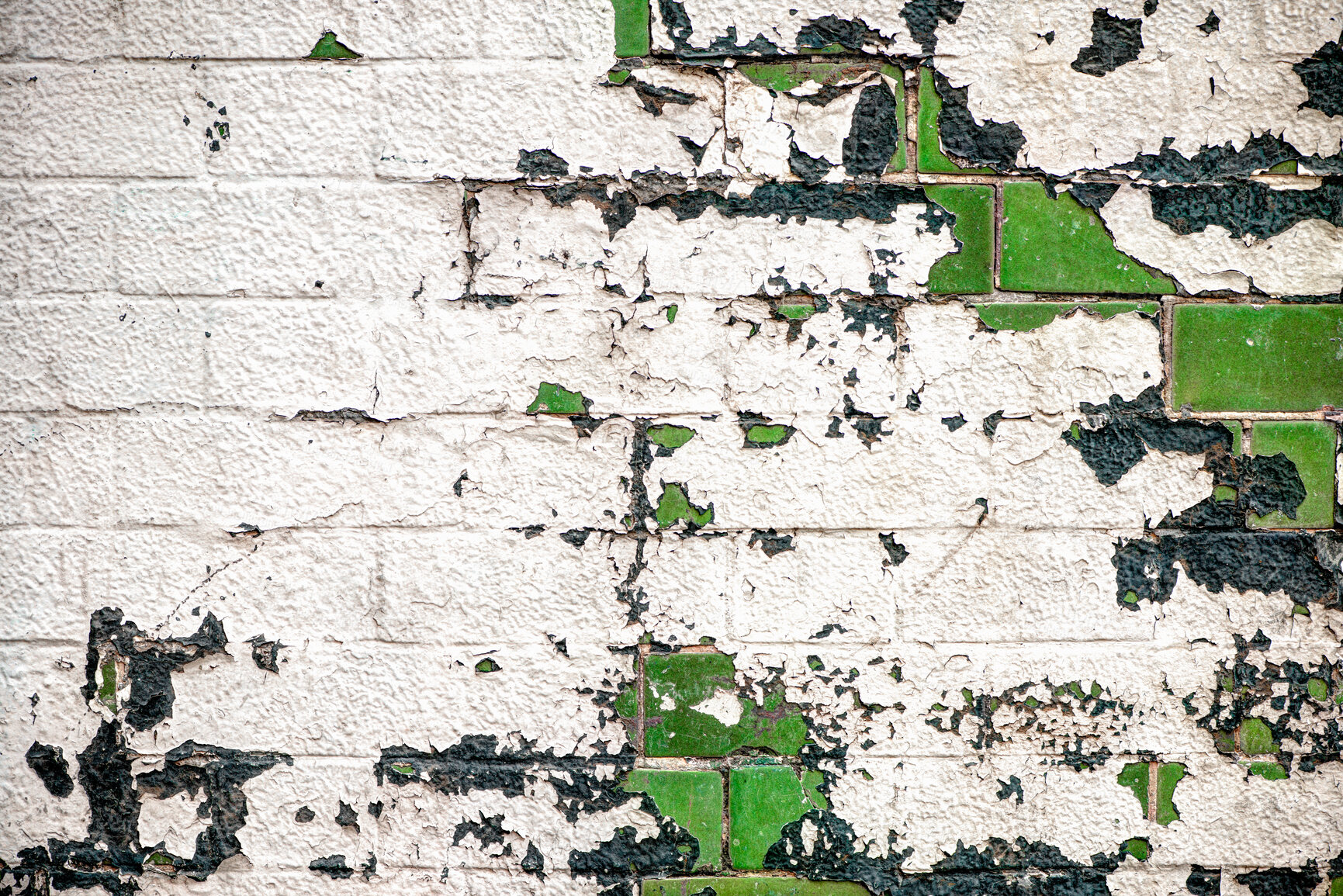 Buy stock photo Outdoor, peeling or brick wall with paint decay on surface exterior of home, house or city building. Property development, ruin or detail background of cracked or rough texture in urban downtown area