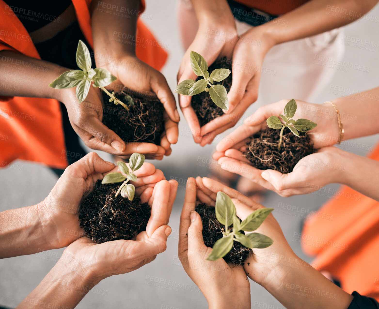 Buy stock photo Shot of a group of unrecognizable businesspeople holding plants in dirt at work