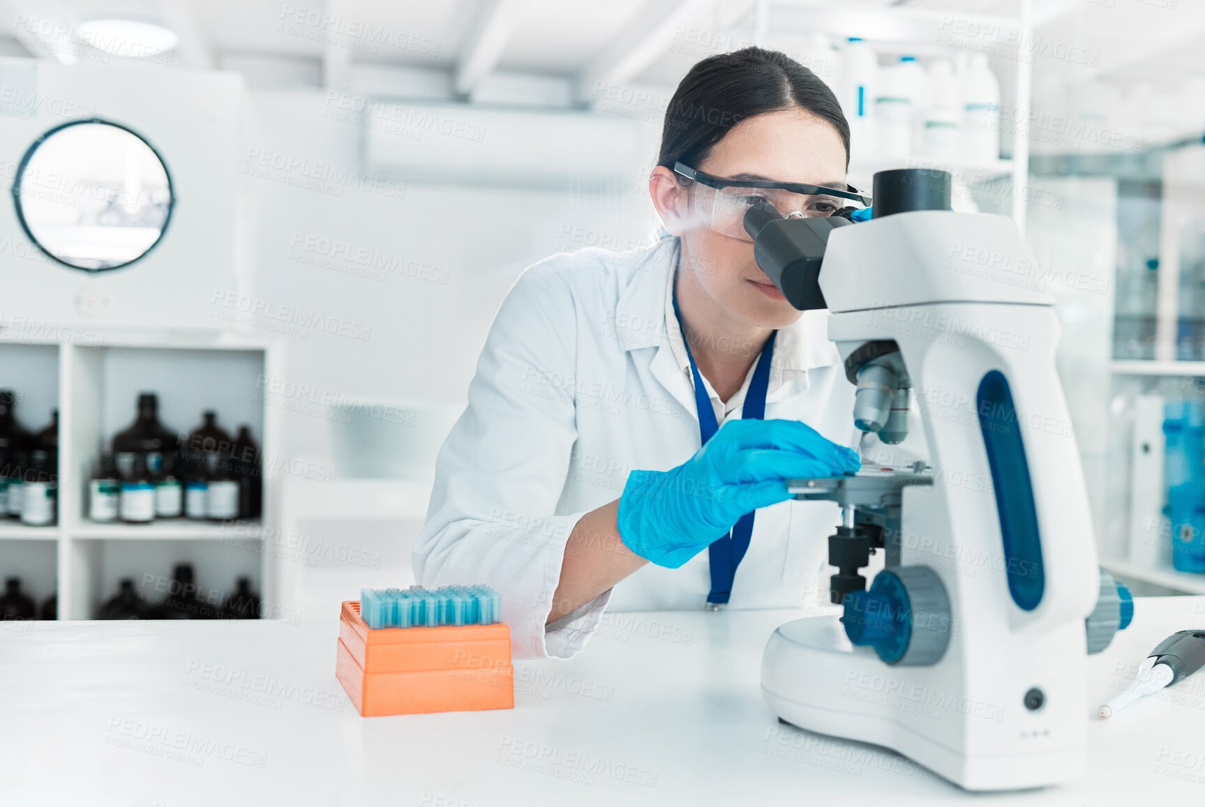 Buy stock photo Microscope, woman and scientist in laboratory for DNA particles, clinical trial and chemical discovery. Biotechnology, medical science and vaccine research with petri dish for mpox cure development