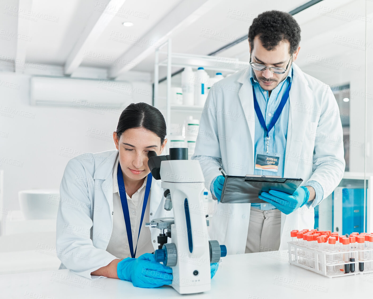 Buy stock photo Shot of two young scientists working together in a lab