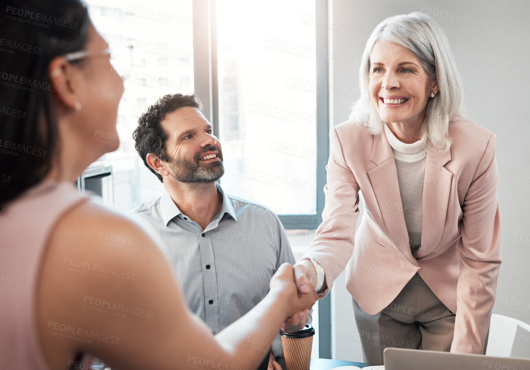 Buy stock photo Business people, handshake and partnership with agreement, cooperation and planning in meeting. Group, onboarding and employees shaking hands, thank you and recruitment for project, smile or feedback