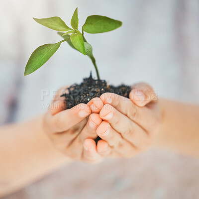 Buy stock photo Shot of a unrecognizable girl holding a plant outside