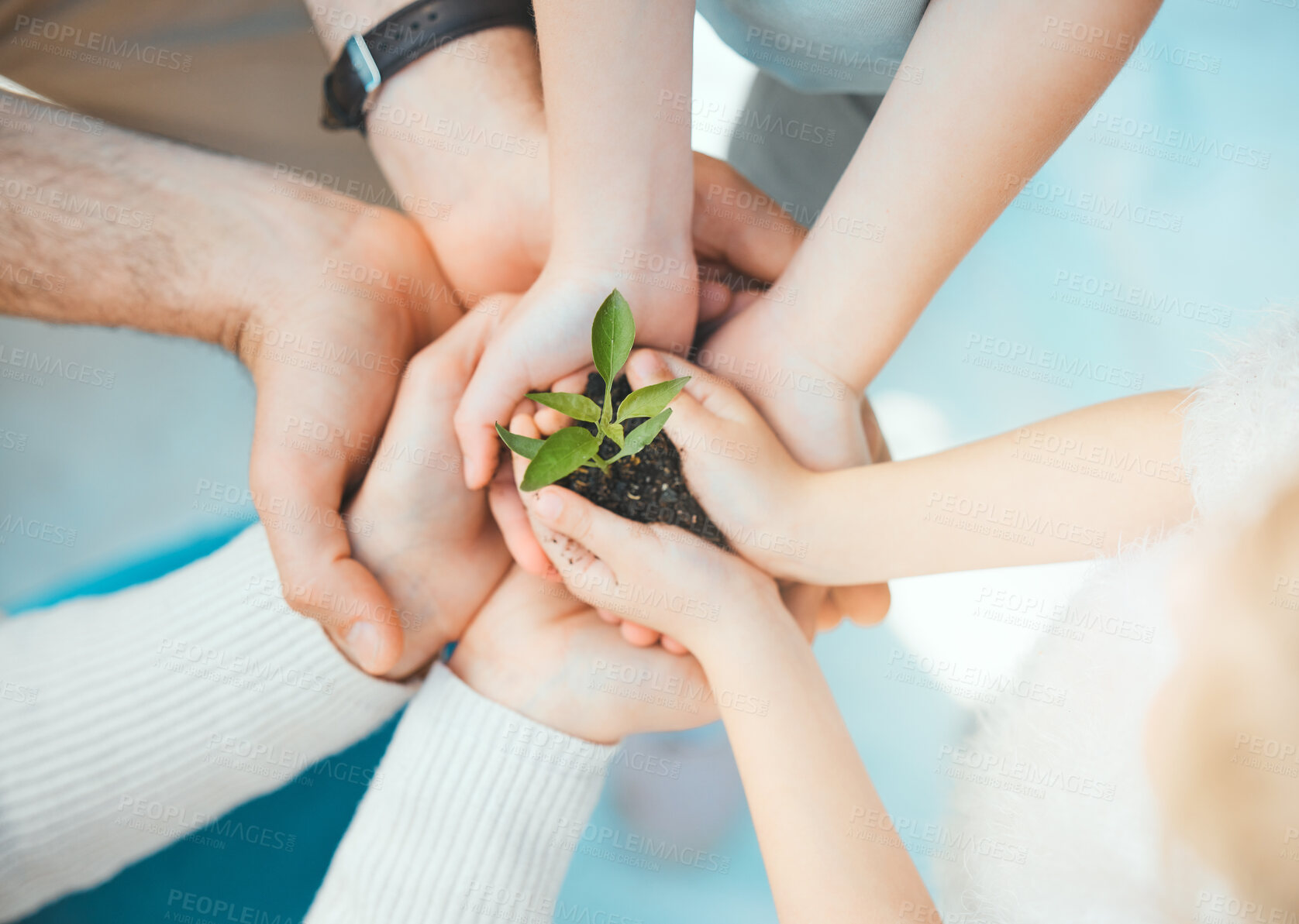 Buy stock photo Nature, support and people with plant in garden for eco friendly future, hope and organic growth. Seedling, above and young agro family holding soil and greenery outside in park for sustainability