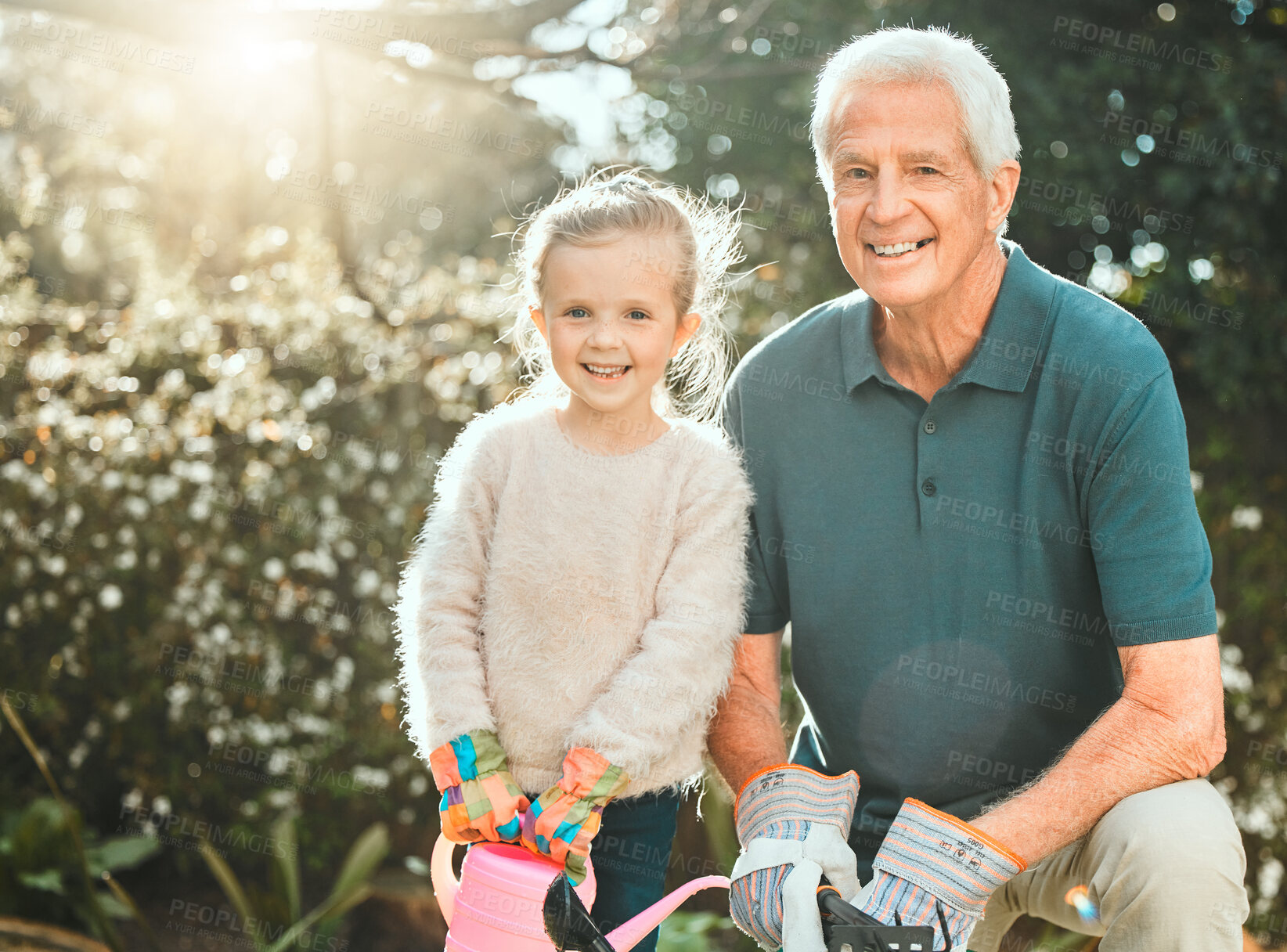 Buy stock photo Garden, grandfather and child in portrait with watering can, planting and agriculture on countryside. Backyard, senior grandpa and girl with equipment for nature growth, sustainability and bonding