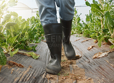 Buy stock photo Closeup shot of an unrecognisable man wearing black rubber boots while working in a greenhouse on a farm