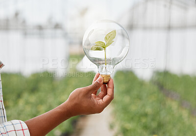 Buy stock photo Closeup shot of an unrecognisable man holding a lightbulb with a plant growing inside