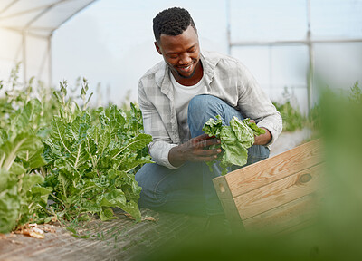 Buy stock photo Shot of a young man tending to crops on a farm