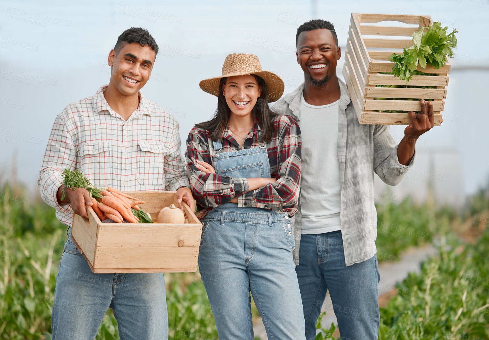 Buy stock photo Portrait of a group of people holding crates of fresh produce while working together on a farm