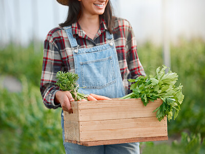 Buy stock photo Closeup shot of an unrecognisable woman holding a crate of fresh produce on a farm