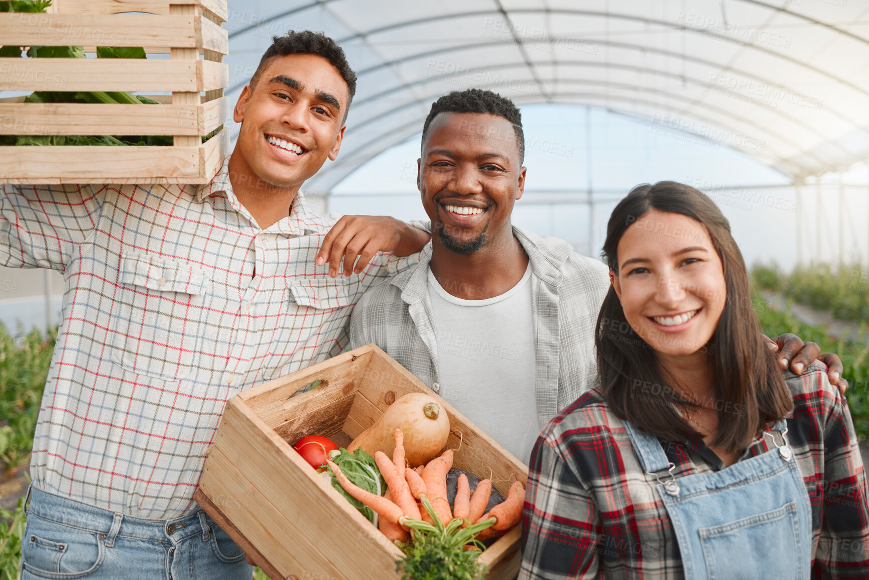 Buy stock photo Farming, happy people and portrait with basket for vegetables, plants and crops for harvesting. Agriculture, teamwork and farmers with food for small business, nutrition and confidence in greenhouse