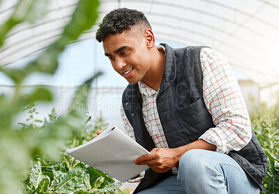 Buy stock photo Farmer, man and writing notes in greenhouse with inspection, thinking and happy for growth with spinach. Person, notebook and quality assurance for crops, plants and vegetables with agro business