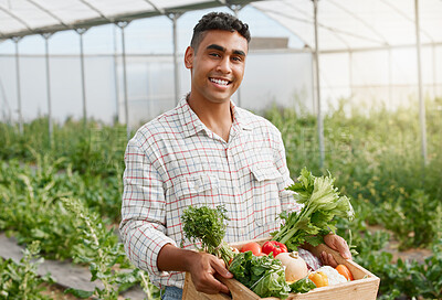 Buy stock photo Farming, nature and portrait of man with vegetables for produce, sustainability and eco friendly gardening. Agriculture, greenhouse and happy farmer with box for agro business, plants and harvest