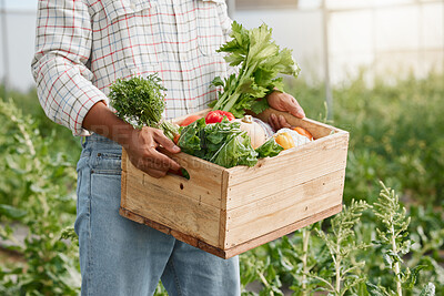 Buy stock photo Closeup shot of an unrecognisable man holding a crate of fresh produce while working on a farm