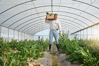 Buy stock photo Portrait of a young man holding a crate of fresh produce while working in a greenhouse on a farm