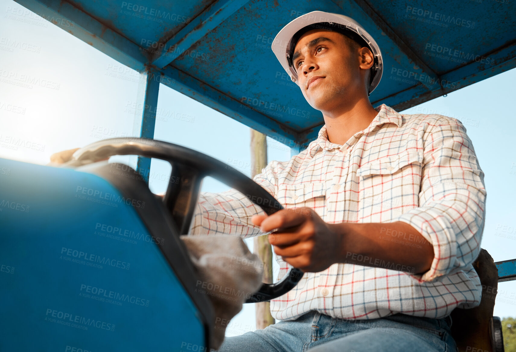 Buy stock photo Tractor, farm and man drive in field for harvesting plants, growth and vegetable production. Agriculture, transport and person in vehicle for sustainability, agro business and produce in countryside