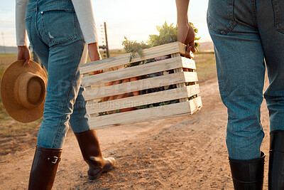 Buy stock photo Shot of two unrecognizable farmers carrying a crate on a farm
