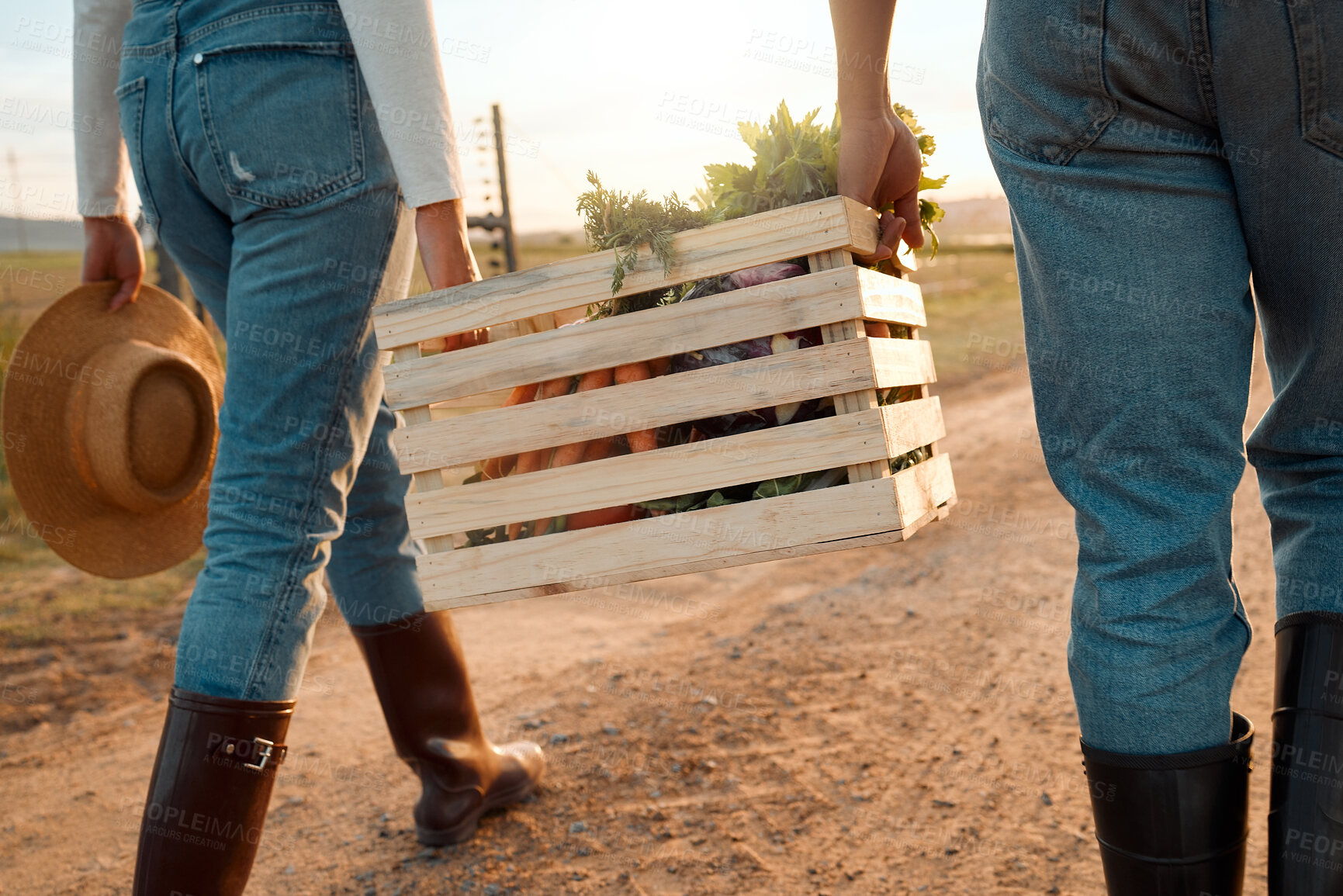 Buy stock photo Hands, crate and vegetables with harvest, together and outdoor on path, sunset or teamwork. People, partnership and wood container for organic produce, carrying or sustainability at farm in Colombia