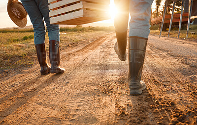 Buy stock photo Shot of two unrecognizable farmers carrying a crate on a farm