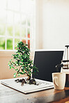 Bonsai tree growing out from a laptop in studio against a grey background