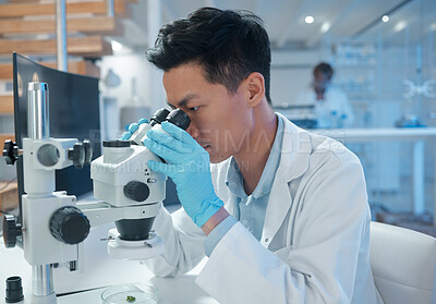 Buy stock photo Asian man, scientist and microscope at laboratory for scientific research and investigation. Male person, medical specialist and experiment in microbiology for virus, germs and bacteria for pandemic