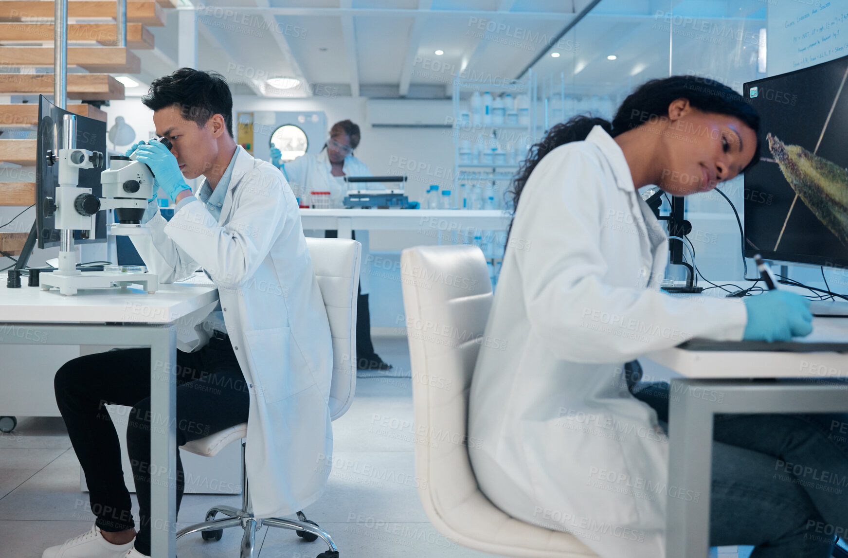 Buy stock photo Shot of two coworkers peacefully working together in a lab
