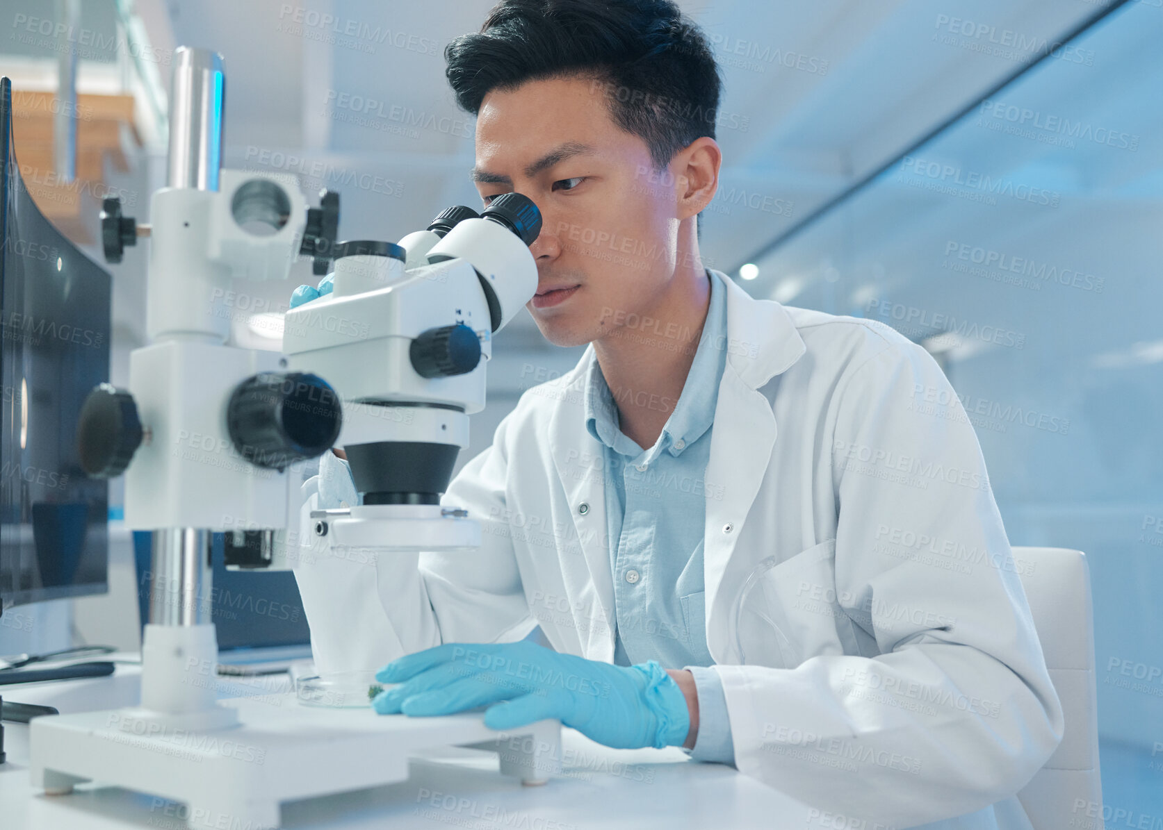 Buy stock photo Microscope, Asian man and researcher in lab, science and testing samples with breakthrough. Person, scientist and professional in coat, equipment and treatment with experiment, examination and tech