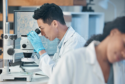 Buy stock photo Scientist, man and microscope analysis in lab for medical research, botany investigation and plant science. Healthcare, person and teamwork for medicine treatment, biomedicine experiment and biology